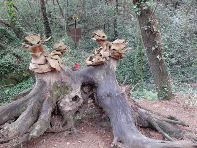 Bosc Escultòric d'Ernest Borràs i Berta Julivert