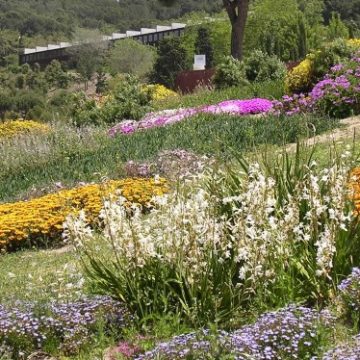 Jardi_Botanic_Barcelona_c1