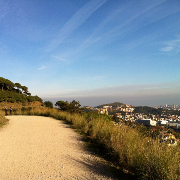 df730c3b8009f480a1650a23f2149c98