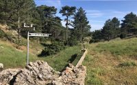 montsagre